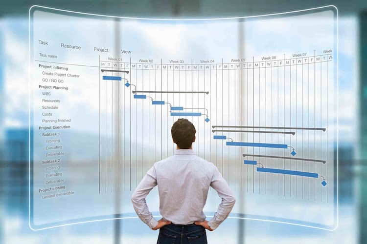 Importancia del director financiero en las PyMEs